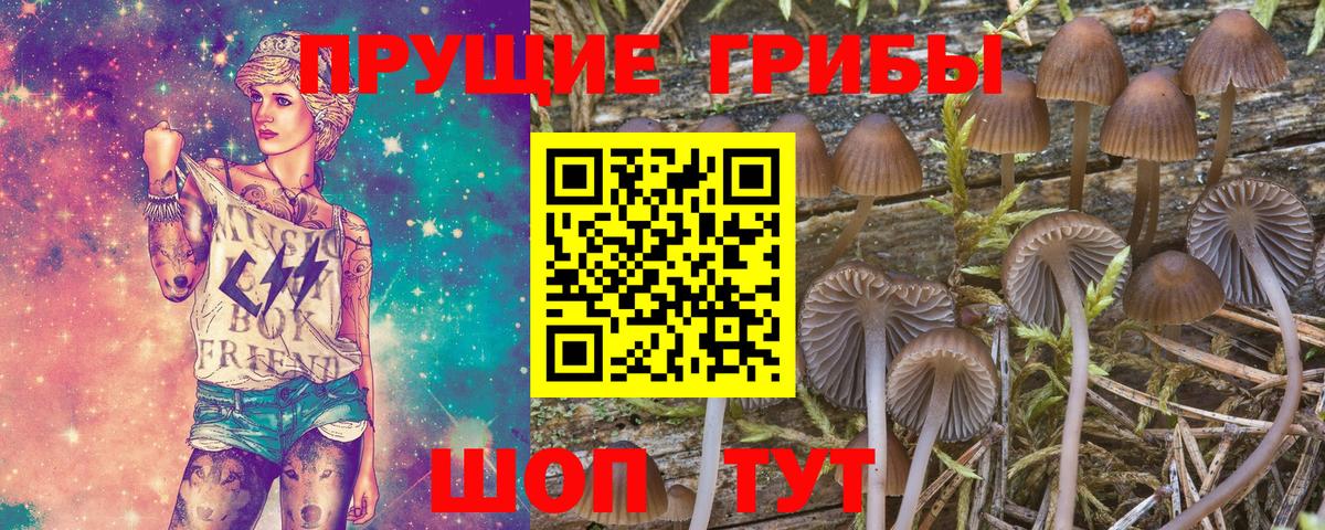 Псилоцибиновые грибы Psilocybe Новый Уренгой