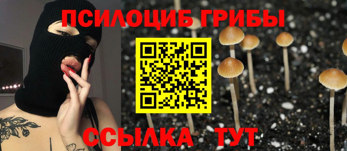 Псилоцибиновые грибы Cubensis  Вход с VPN  Новый Уренгой  купить  цена  Псилоцибиновые грибы GOLDEN TEACHER 